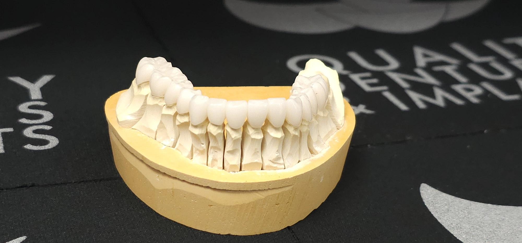 1000011119 1000011119